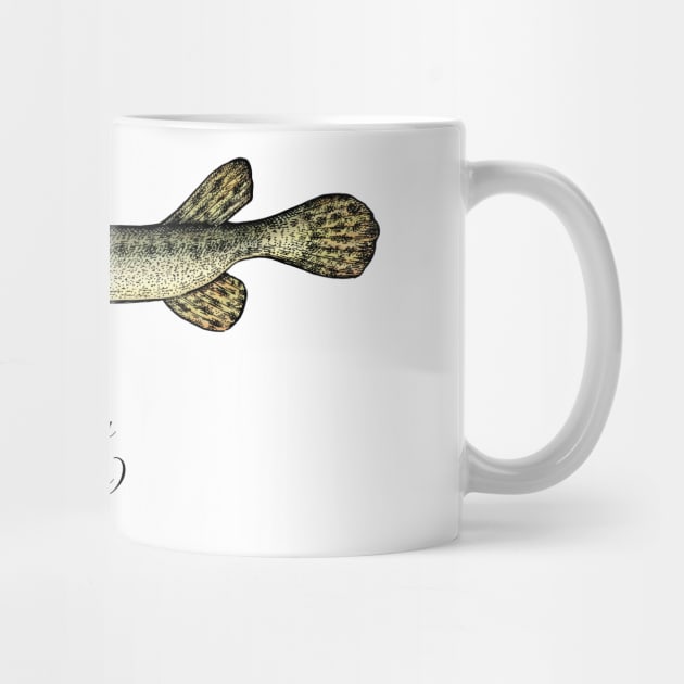 Esox osseus by eugeniahauss